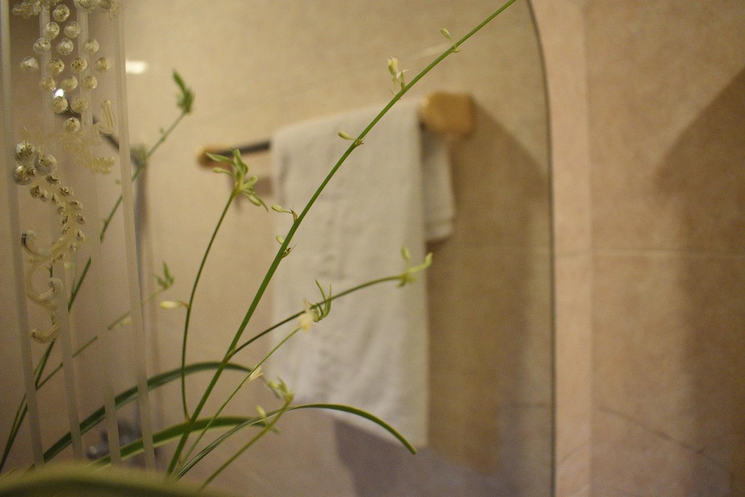 Phuong Trang Auberge de jeunesse